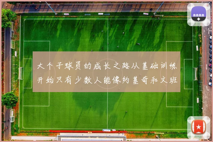 大个子球员的成长之路从基础训练开始只有少数人能像约基奇和文班那样成功