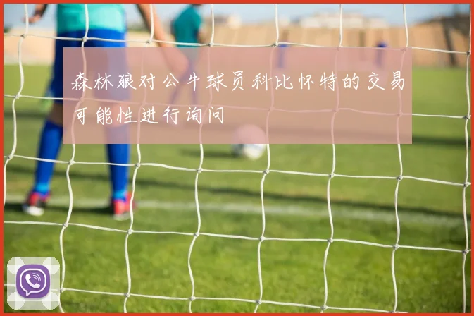 森林狼对公牛球员科比怀特的交易可能性进行询问