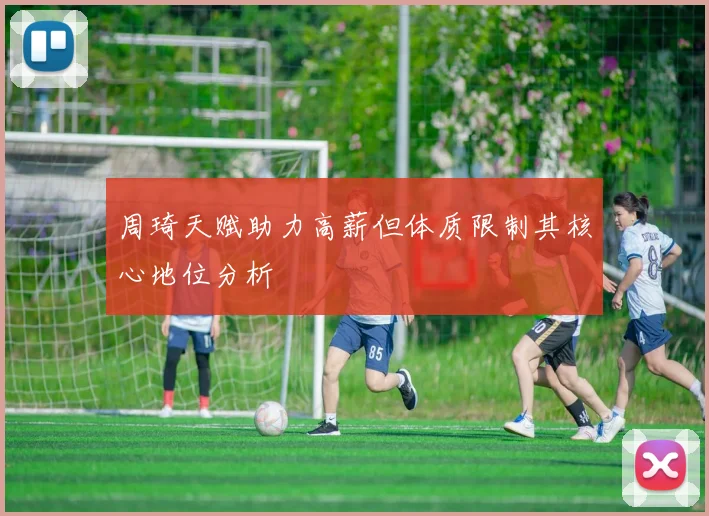 周琦天赋助力高薪但体质限制其核心地位分析