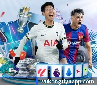 用内容积累长期价值 - 长期内容价值积累（WukongSports）