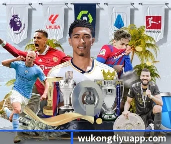 悟空体育 APP - WukongSports